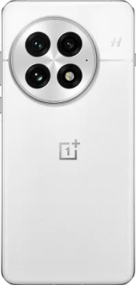Смартфон OnePlus 13 12/256Gb (Arctic Dawn)