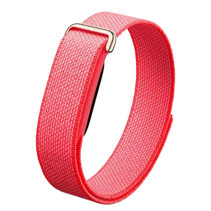 Фитнес-браслет Google Fitbit Air (Berry)