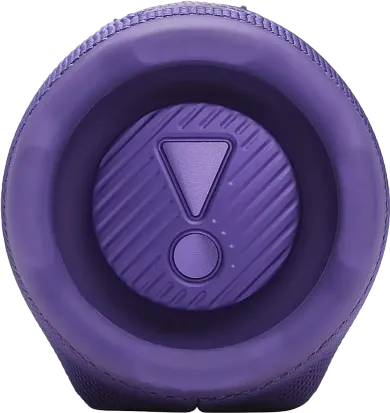 Портативная колонка JBL Charge 6 (Purple)