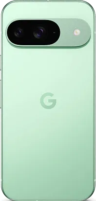 Смартфон Google Pixel 9 12/256Gb (Wintergreen)
