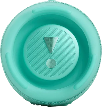 Портативная колонка JBL Charge 5 (Teal)