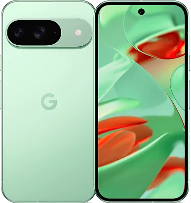 Смартфон Google Pixel 9 12/256Gb (Wintergreen)