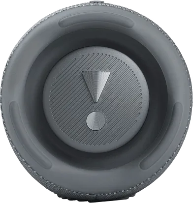Портативная колонка JBL Charge 5 (Gray)
