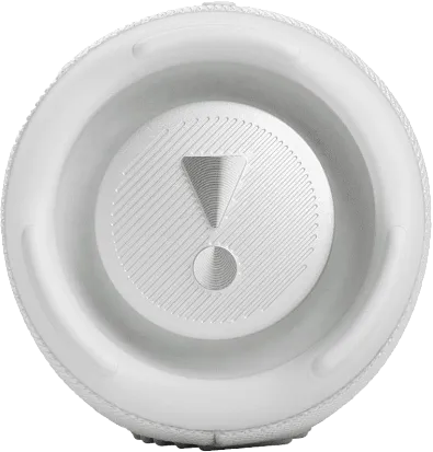Портативная колонка JBL Charge 5 (White)