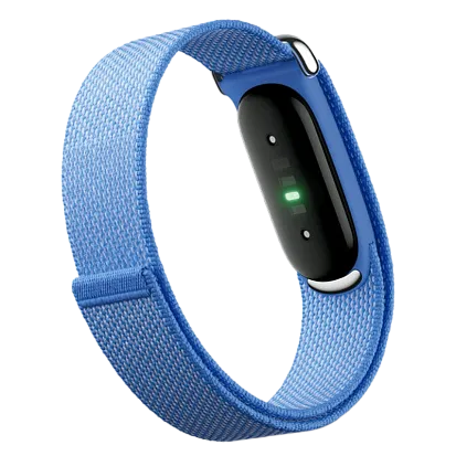Фитнес-браслет Google Fitbit Air (Lavender)